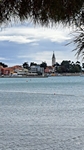 Novigrad
