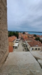 Novigrad