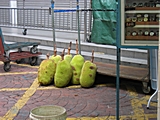 Jack Fruit auf einem Marktstand