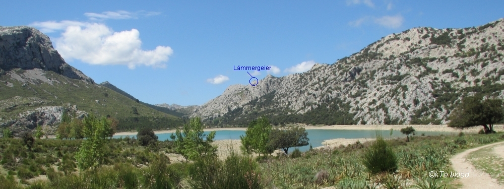 Embassament de Cuber