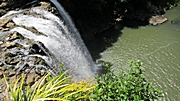 Whangarei Falls