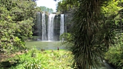 Whangarei Falls