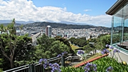 Blick auf Wellington