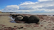 Moeraki Boulders Beach, -45.350583, 170.828498